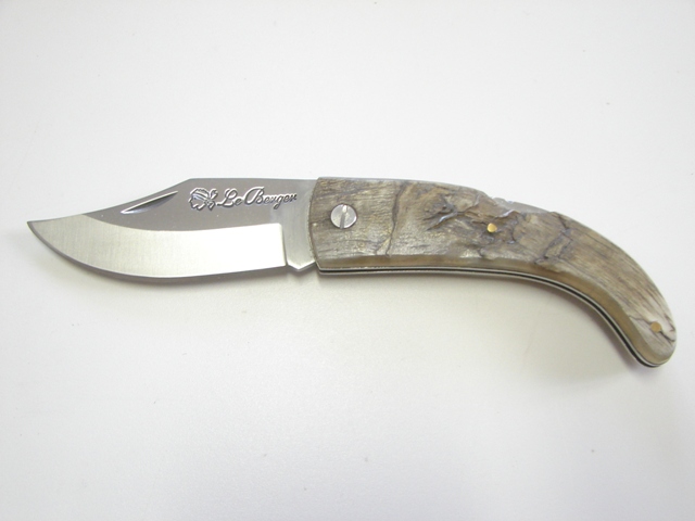 U Tempu Corne de Belier 18 cm