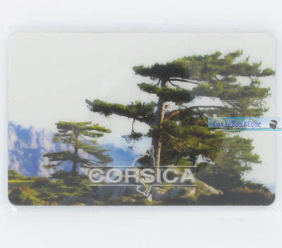 Magnet 3D 01100