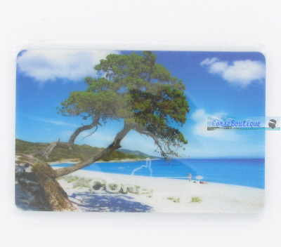 Magnet 3D 01105