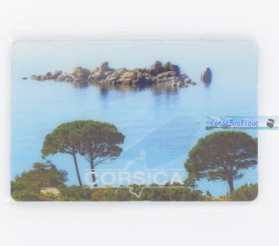 Magnet 3D 01108