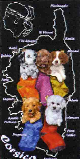 Serviette de Plage chiots Corsica 3046