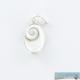 Pendentif petit modèle oeil de st lucie 1062