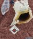 Pendentif en argent 925 et corail forme losange