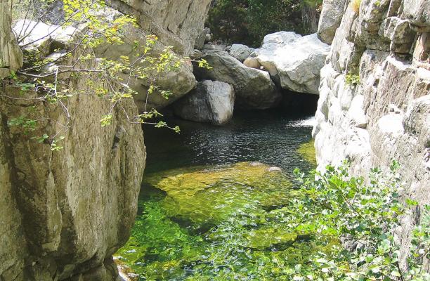 Gorges du Tavignano 2.jpg